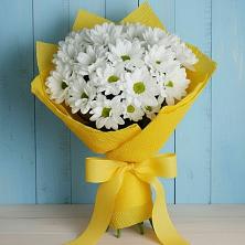 Букет Застенчивые лепестки в Братовщине Букет цветов из: Хризантемы в Братовщине