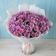 Букет цветов из:  Хризантемы в Братовщине