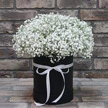 Цветочная композиция из Гипсофила в шляпной коробке в Братовщине